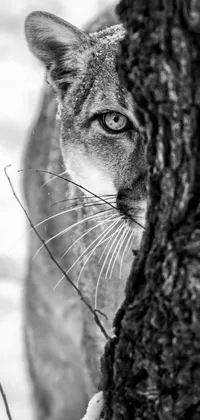 This stunning phone live wallpaper captures a close-up of a majestic feline near a tree in exquisite detail