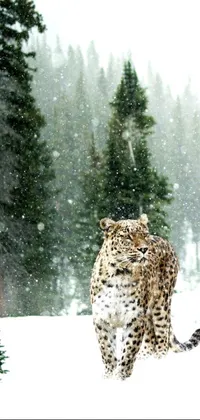 This phone live wallpaper features a snowy forest with a majestic snow leopard