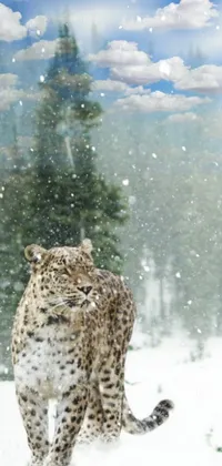 This beautiful phone wallpaper features a snow leopard walking on a snowy meadow with winter scenery in the background