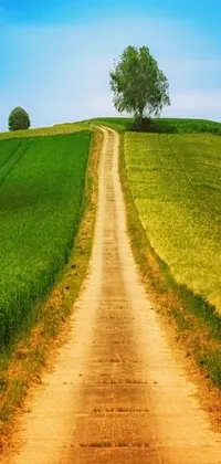 This live wallpaper features a pastoral scene of a dirt road winding through a green field