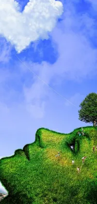 Plant Tree Cloud Live Wallpaper