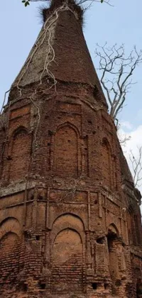 This stunning phone live wallpaper features a mesmerizing image of a brick tower with a tree sprouting from it