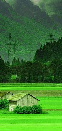 This phone live wallpaper features two cozy houses on a lush green field with a distant mountain landscape covered in clouds creating a sense of mystery