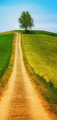 This phone live wallpaper presents a stunning view of a dirt road amidst verdant greenery, showcasing the charm of nature in all its glory