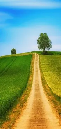 This phone live wallpaper features a serene yet captivating scene of a dirt road meandering through a lush and vibrant green field, in naive art style