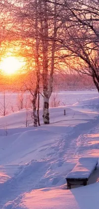 This beautiful winter live wallpaper for your mobile phone features a wooden bench sitting in fresh snow, against a backdrop of a tree-lined path at sunset