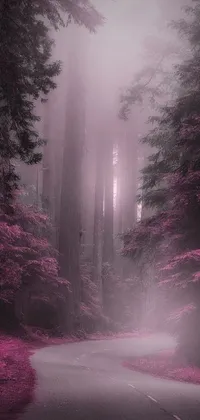 Bring the beauty of a misty, forest road to your phone screen with this romantic live wallpaper