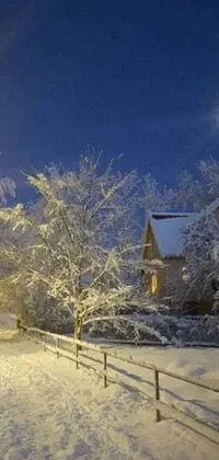 Experience the serene majesty of a snowy street at night with this stunning Live Wallpaper