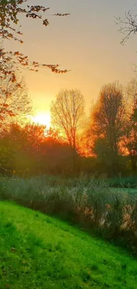 This stunning live wallpaper features a serene bench atop vibrant green fields, accompanied by a variety of seasonal landscapes such as autumn sunsets, picturesque pond scenes, and refreshing orange dawns