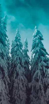 This is a stunning phone live wallpaper featuring a winter scene with pine trees covered in snow