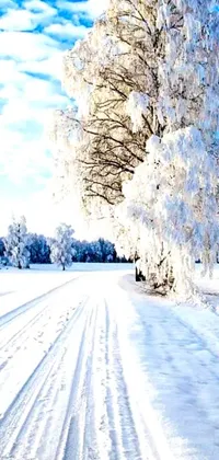 This mobile live wallpaper features a stunning winter scene