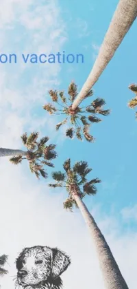 This phone live wallpaper features two palm trees in a blue-themed background that oozes relaxation