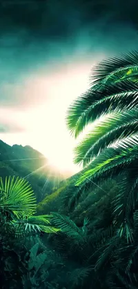 This mobile live wallpaper captures the beauty of nature with a stunning view of a mountain peak in the distance, surrounded by lush green palm trees in the foreground