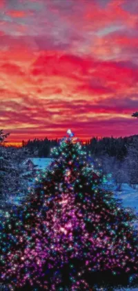 Looking for a vibrant and festive live wallpaper for your phone this Christmas season? Check out this colorful image of a Christmas tree standing in the middle of a snowy field