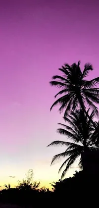 Looking for a striking live wallpaper for your phone? Check out this tropical scene by Gina Pellón! Featuring two palm trees silhouetted against a purple Jamaican sky, this wallpaper transports you to a tranquil beach paradise with soft violet and pink hues