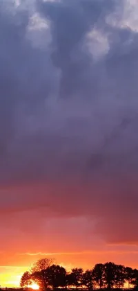 This captivating phone live wallpaper showcases a scenic view of someone flying a kite in a field during a stunning sunset