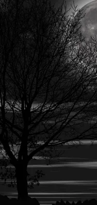 This black and white phone live wallpaper features a full moon portrait with a tree silhouette against a twilight sky