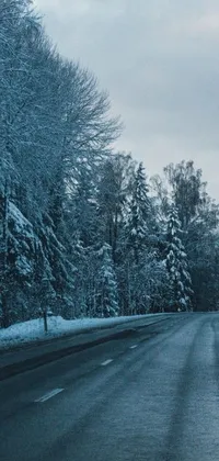 Experience a winter wonderland with this stunning live wallpaper on your phone