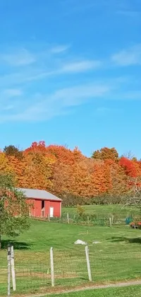 Get mesmerized by this phone live wallpaper that features a vibrant red barn in a lush green field