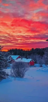 This phone live wallpaper showcases a charming red barn amidst a snow-covered field that adds warmth to an otherwise cold winter scene