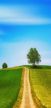 This phone live wallpaper depicts a rural scene with a dirt road cutting through a lush green field