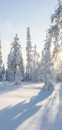 This phone live wallpaper showcases a stunning winter landscape with snow-covered ground and majestic trees