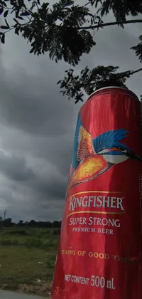 Looking for a stunning live wallpaper for your phone? Check out this amazing image of a can of Kingfisher beer perched on a car roof, surrounded by heavenly god rays and dramatic, cloudy skies! This wallpaper is eye-catching and super strong, making it perfect for anyone who loves beer or appreciates beautiful imagery