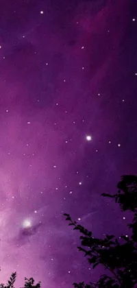 This stunning phone live wallpaper depicts a breathtaking purple sky illuminated by countless twinkling stars