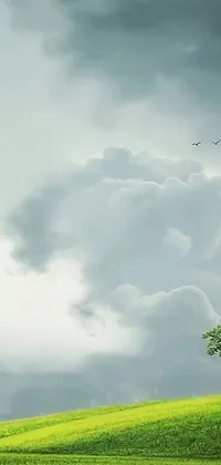 This stunning live wallpaper features a lone tree in a grassy field against a cloudy sky