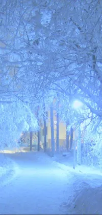 Looking for a serene winter wallpaper for your phone? Look no further than this Live Wallpaper featuring a snow-covered street lined with trees
