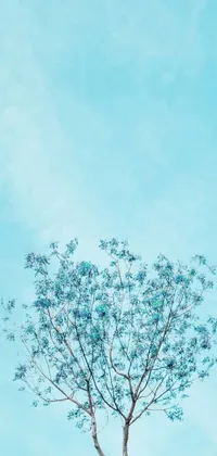 This beautiful phone live wallpaper showcases a serene and minimalistic image of a lone tree against a tranquil blue sky