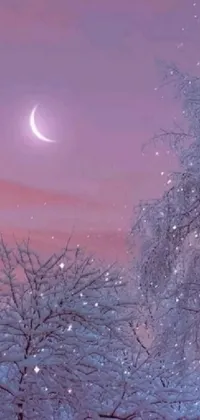 This phone live wallpaper showcases two trees standing in the snow against a romantic and dreamy scene, perfect for Tumblr lovers