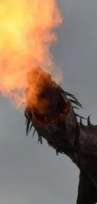 Looking to spiff up your phone's wallpaper game? Why not try this stunning image of a dragons breathing fire? The dragon featured in this photo has some serious attitude, with sharp fangs and piercing eyes that seem to glare directly at you