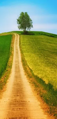 This live wallpaper features a charming and colorful image of a dirt road running through a verdant green field, set against a hilltop backdrop