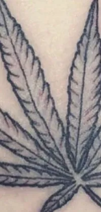 Get the coolest phone live wallpaper of a marijuana leaf tattoo design featuring meticulous and modern flat shading technique
