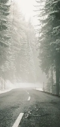 This live wallpaper features a captivating black and white photograph of a foggy road in the Swiss Alps