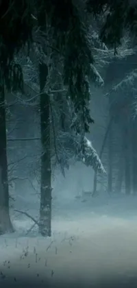 Get lost in a stunning, phone live wallpaper featuring a red fire hydrant standing tall in the midst of a snow-covered forest