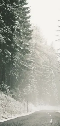 This live wallpaper showcases a stunning black and white photo of a snowy forest road, set in the serene Carpathian Mountains
