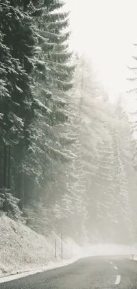 This phone live wallpaper showcases a stunning black and white photograph of a snowy forest road