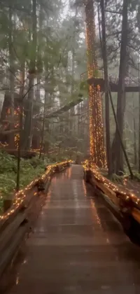 This phone live wallpaper features a picturesque forest scene complete with a wooden walkway, twinkling fairy lights, and towering redwood trees
