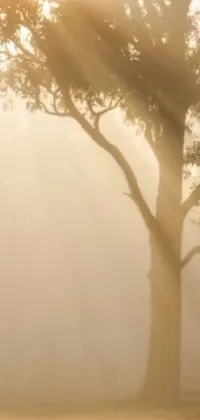 This live wallpaper for your phone features a magnificent scene of an elephant standing next to a tree, set against a hazy, foggy background