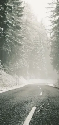 This phone live wallpaper features a stunning black and white photo of a snowy road in a wintry forest