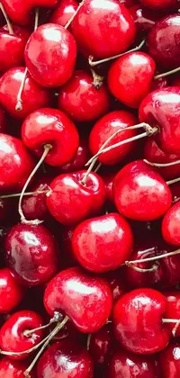 If you're a fan of cherries and love to add some color to your phone screen, this live wallpaper is perfect for you! Featuring a stunning pile of red cherries stacked on top of each other, this wallpaper looks deliciously mouthwatering