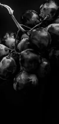 This black and white live wallpaper features a photo of grapes that was taken with a Sony Alpha 9 camera, inspired by a dark ambient album cover