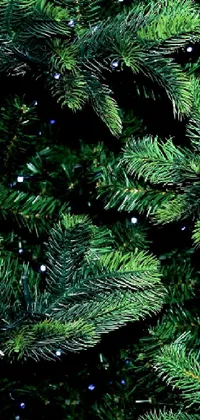 Get into the festive spirit with this stunning phone live wallpaper! The wallpaper features a digital rendering of a Christmas tree close up, complete with colorful ornaments and twinkling lights