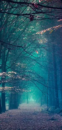 This live wallpaper depicts a mystical forest filled with tall trees and lush foliage