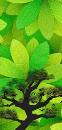 Plant Tree Green Live Wallpaper