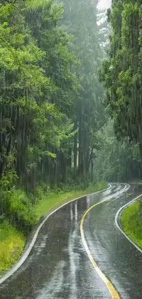 This Assamese aesthetic live wallpaper features a serene forest scene with a wet road