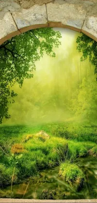 This stunning phone live wallpaper showcases a vibrant and lush green forest with a tranquil stream flowing through it