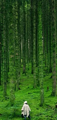 This phone live wallpaper showcases a serene scene in a forest